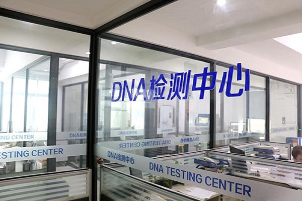 ˴DNAӼ